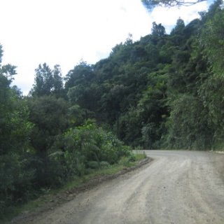 2018-NZ-travel-1177