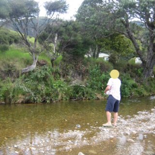 2018-NZ-travel-1200