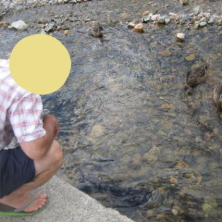 2018-NZ-travel-1207