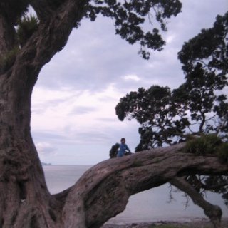 2018-NZ-travel-1210