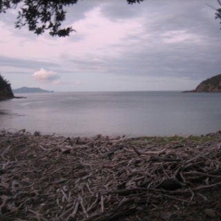 2018-NZ-travel-1211