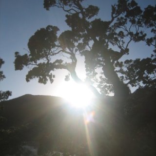 2018-NZ-travel-1218
