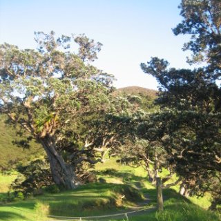 2018-NZ-travel-1220