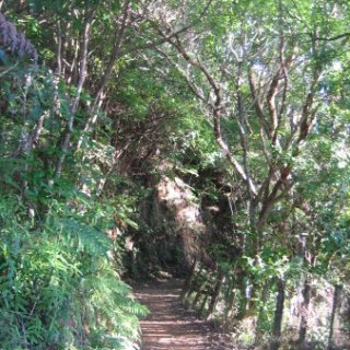 2018-NZ-travel-1222