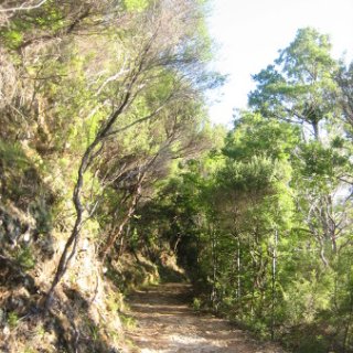 2018-NZ-travel-1223