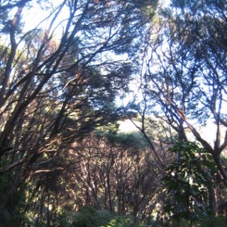 2018-NZ-travel-1225