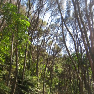 2018-NZ-travel-1228