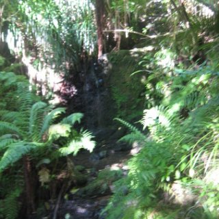 2018-NZ-travel-1229
