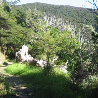 2018-NZ-travel-1230