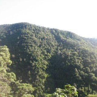 2018-NZ-travel-1231
