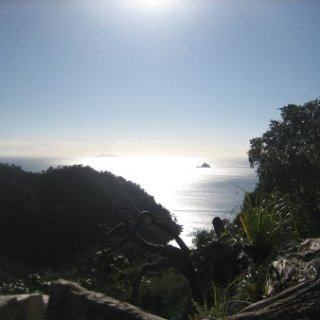 2018-NZ-travel-1232