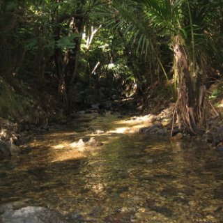2018-NZ-travel-1233