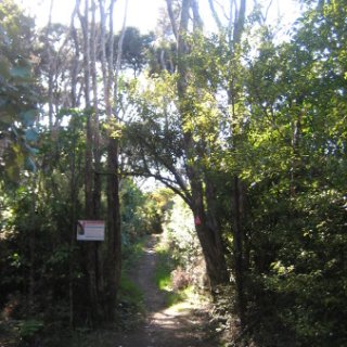 2018-NZ-travel-1235