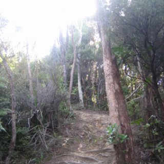 2018-NZ-travel-1236
