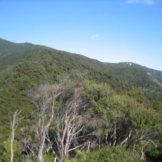 2018-NZ-travel-1241