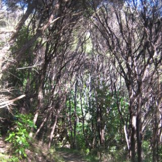 2018-NZ-travel-1242