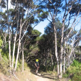 2018-NZ-travel-1243