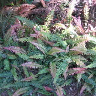 2018-NZ-travel-1244