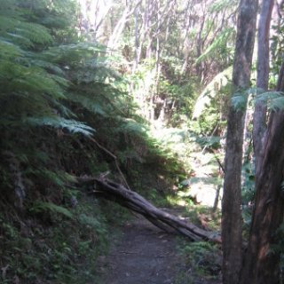 2018-NZ-travel-1245