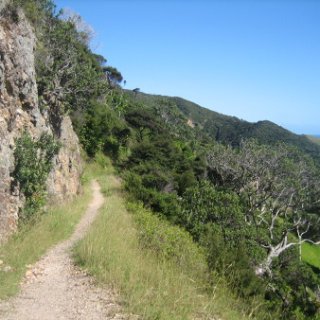 2018-NZ-travel-1246