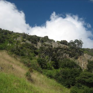 2018-NZ-travel-1253