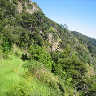 2018-NZ-travel-1254