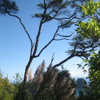 2018-NZ-travel-1255
