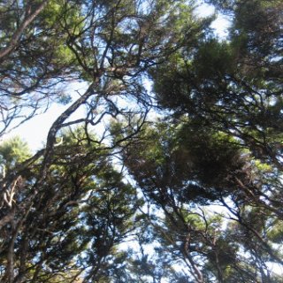 2018-NZ-travel-1257