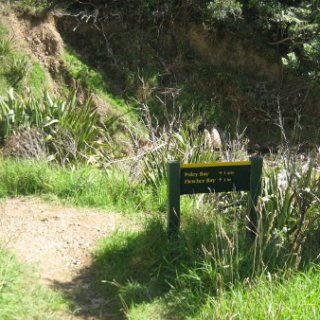 2018-NZ-travel-1260
