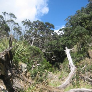 2018-NZ-travel-1261