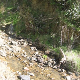 2018-NZ-travel-1263