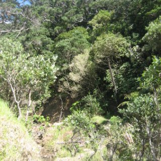 2018-NZ-travel-1270
