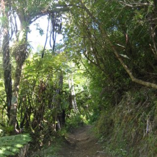 2018-NZ-travel-1271