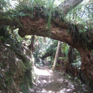 2018-NZ-travel-1272