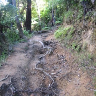 2018-NZ-travel-1273