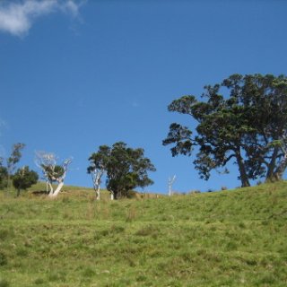2018-NZ-travel-1280