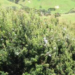 2018-NZ-travel-1287
