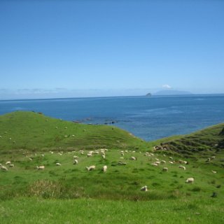 2018-NZ-travel-1293