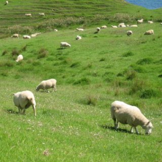 2018-NZ-travel-1294