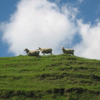 2018-NZ-travel-1295