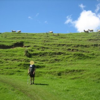 2018-NZ-travel-1296