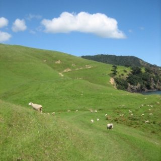 2018-NZ-travel-1298