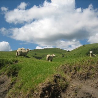 2018-NZ-travel-1301