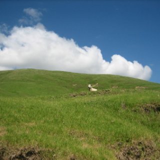 2018-NZ-travel-1302