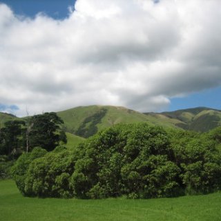 2018-NZ-travel-1309