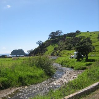 2018-NZ-travel-1310
