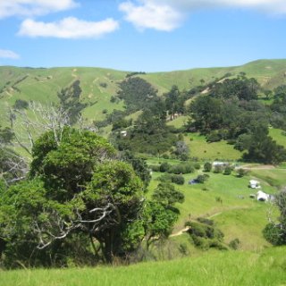 2018-NZ-travel-1319