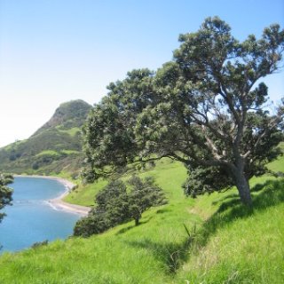 2018-NZ-travel-1320