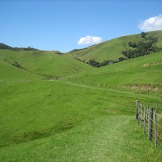2018-NZ-travel-1321