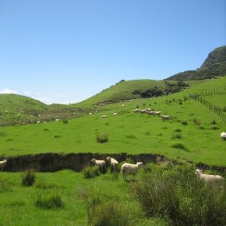2018-NZ-travel-1323
